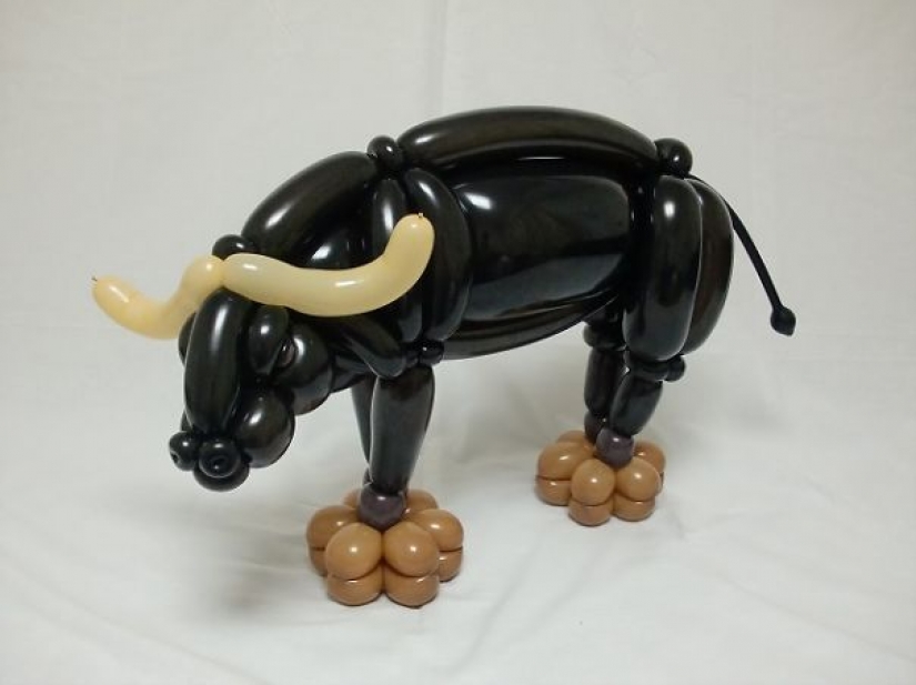 Twist, twirl, I want to cheat: Japanese creates realistic animal figures from balloons Twist, twirl, I want to cheat: Japanese creates realistic animal figures from balloons