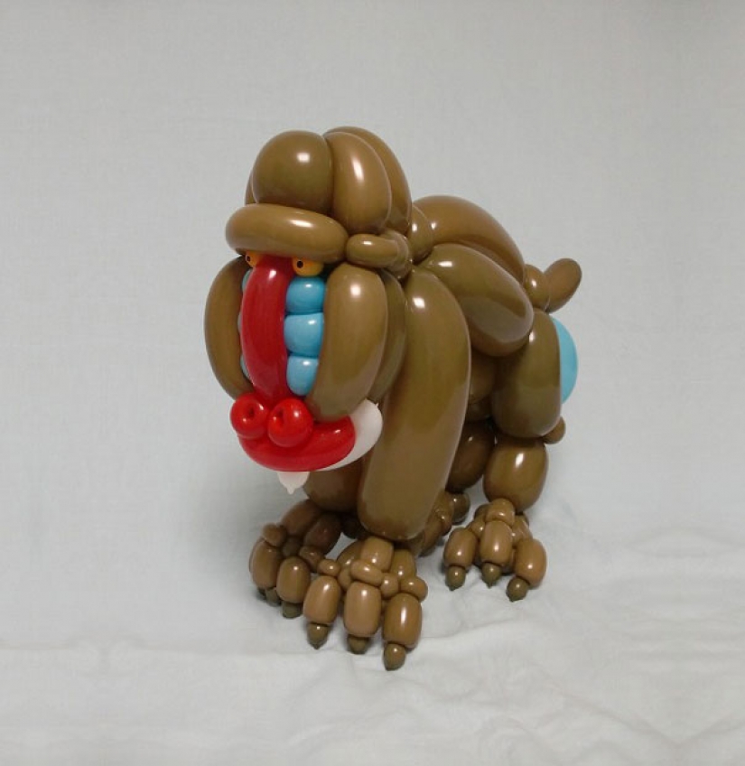 Twist, twirl, I want to cheat: Japanese creates realistic animal figures from balloons Twist, twirl, I want to cheat: Japanese creates realistic animal figures from balloons