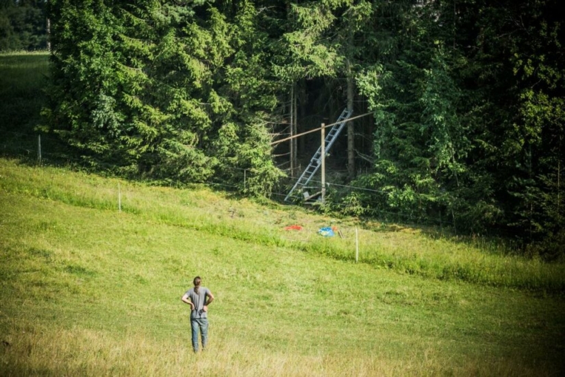 Un agujero ideal apareció en la espesura del bosque cerca de un pueblo estonio y desconcertó a los cibernautas Un agujero ideal apareció en la espesura del bosque cerca de un pueblo estonio y desconcertó a los cibernautas