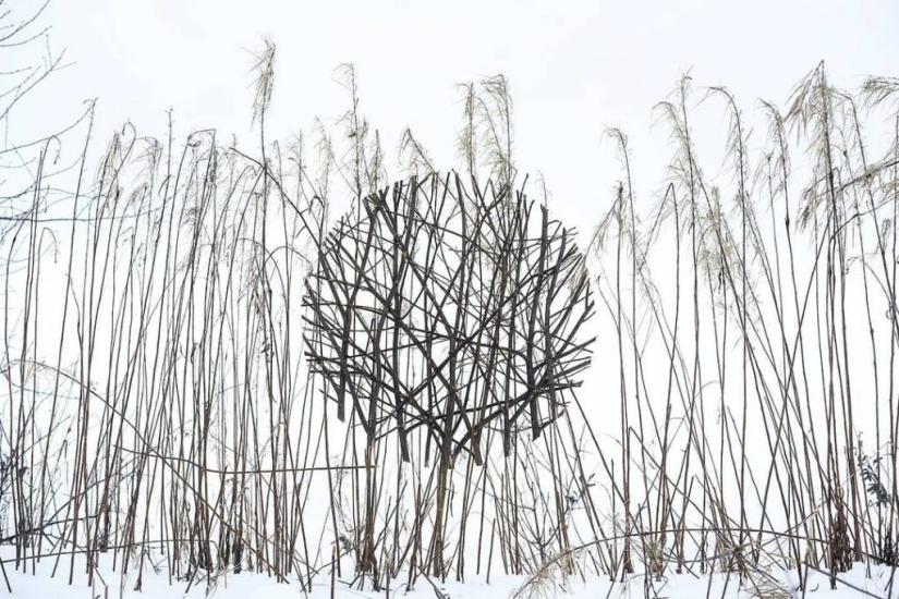 Un agujero ideal apareció en la espesura del bosque cerca de un pueblo estonio y desconcertó a los cibernautas Un agujero ideal apareció en la espesura del bosque cerca de un pueblo estonio y desconcertó a los cibernautas
