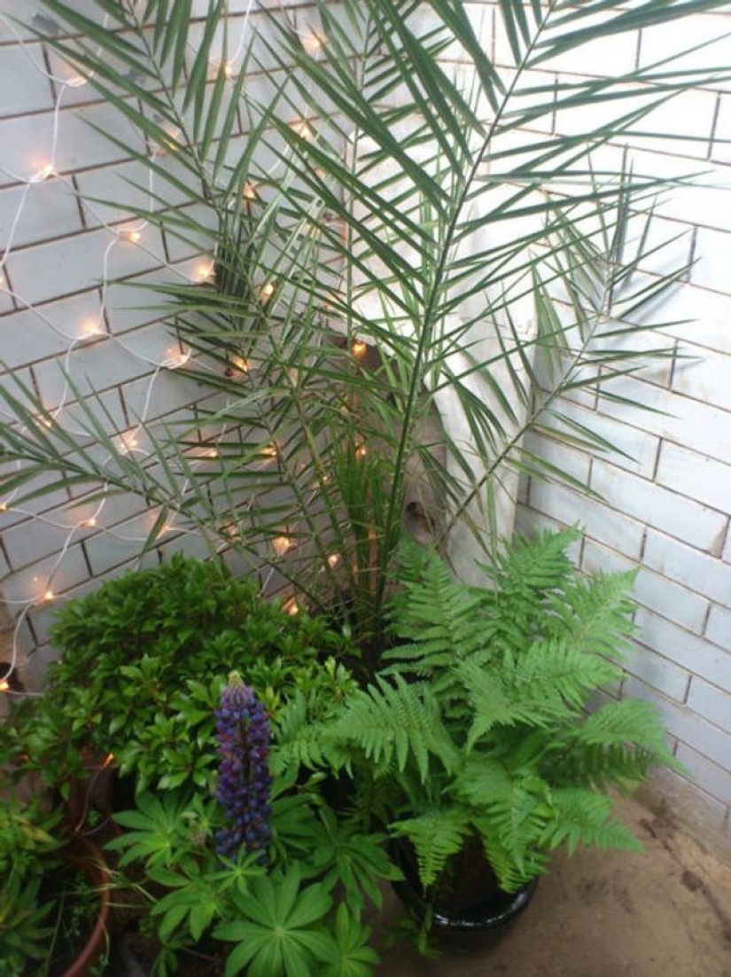Un arquitecto de Inglaterra convirtió un baño público abandonado en la casa de sus sueños Un arquitecto de Inglaterra convirtió un baño público abandonado en la casa de sus sueños