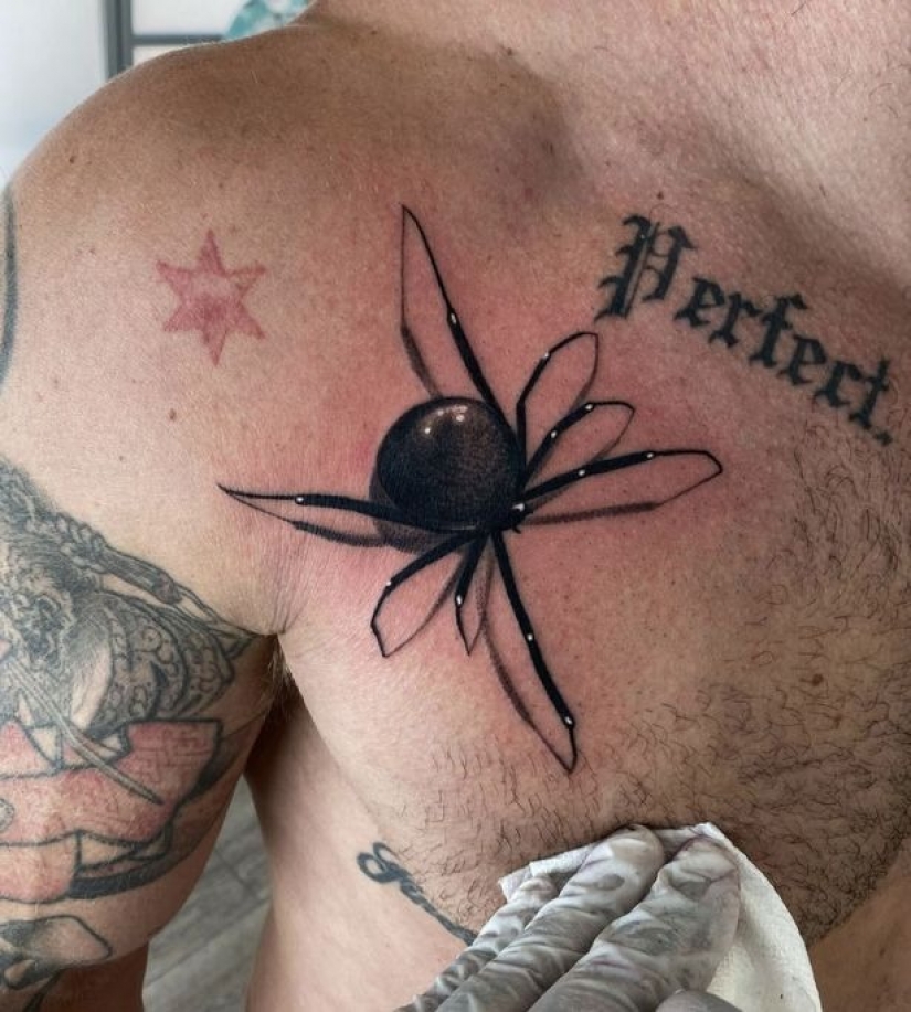 Un artista del tatuaje de los EE.UU. impresiona con una nueva tendencia: un dibujo en 3D de una araña venenosa Un artista del tatuaje de los EE.UU. impresiona con una nueva tendencia: un dibujo en 3D de una araña venenosa