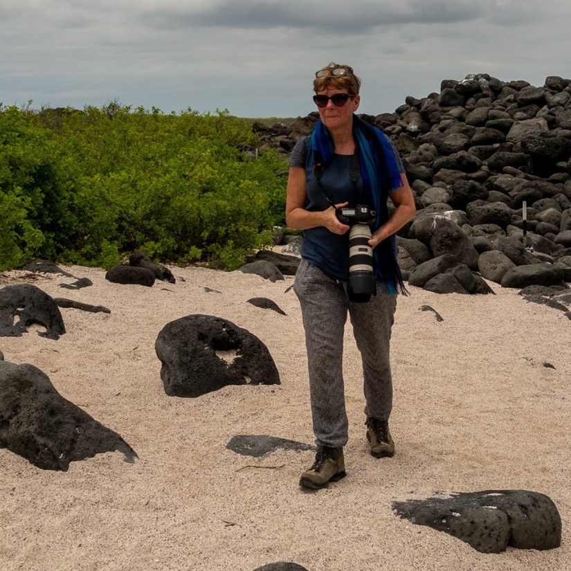 Un búho corriendo en algún lugar de la hierba tocó millones y se convirtió en un meme popular Un búho corriendo en algún lugar de la hierba tocó millones y se convirtió en un meme popular