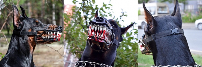 Un bozal que convertirá al perro más amable en un monstruo sediento de sangre