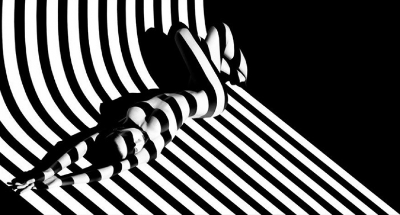 Un juego de sombras Un juego de sombras