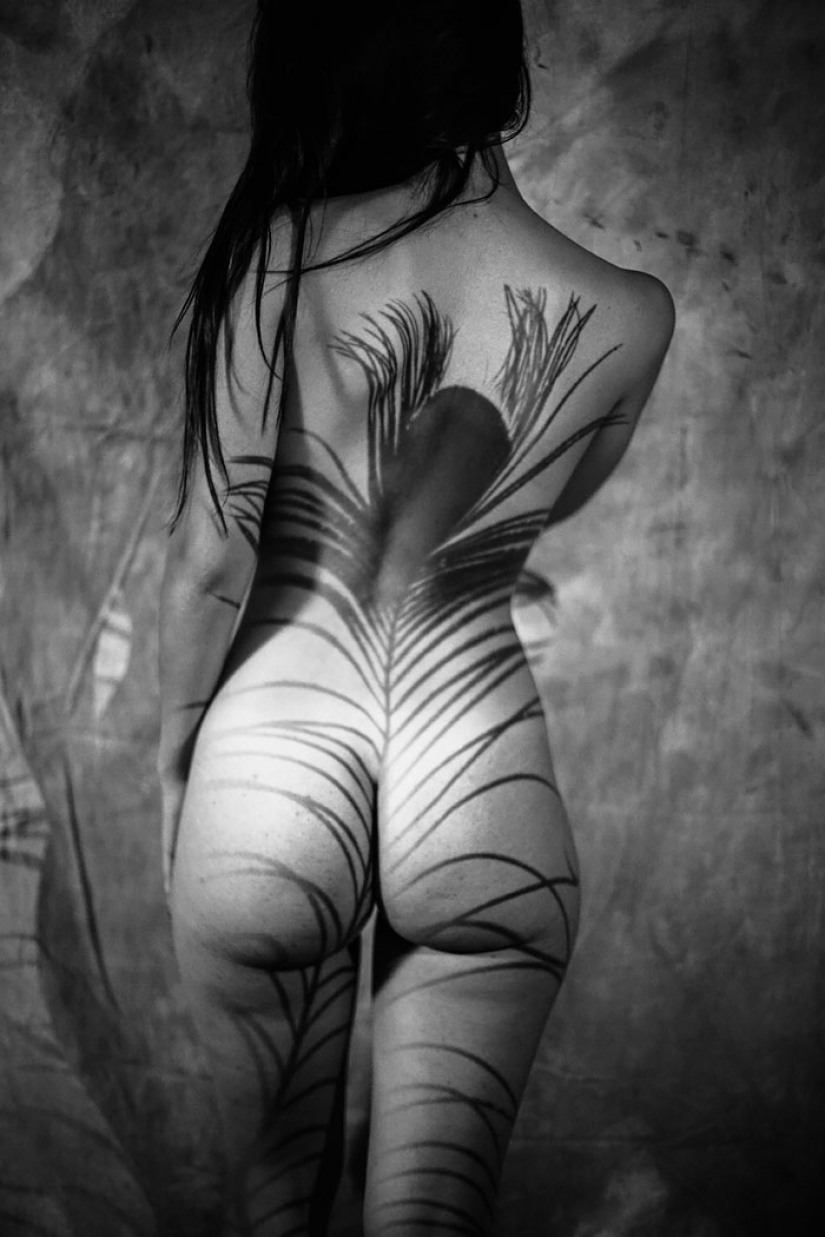 Un juego de sombras Un juego de sombras