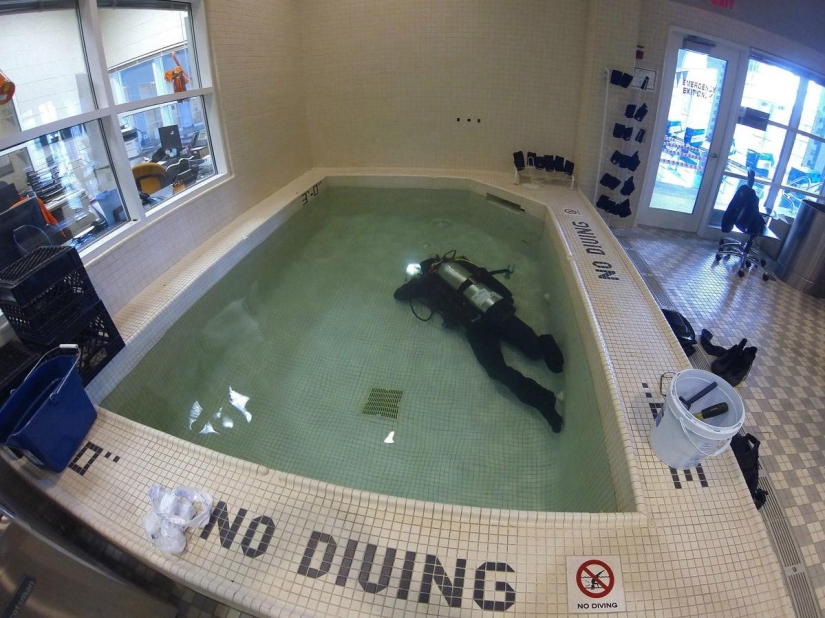 Un post para aquellos que han roto reglas estúpidas al menos una vez en su vida Un post para aquellos que han roto reglas estúpidas al menos una vez en su vida