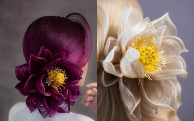 Un talentoso peluquero crea peinados espectaculares en forma de flores Un talentoso peluquero crea peinados espectaculares en forma de flores