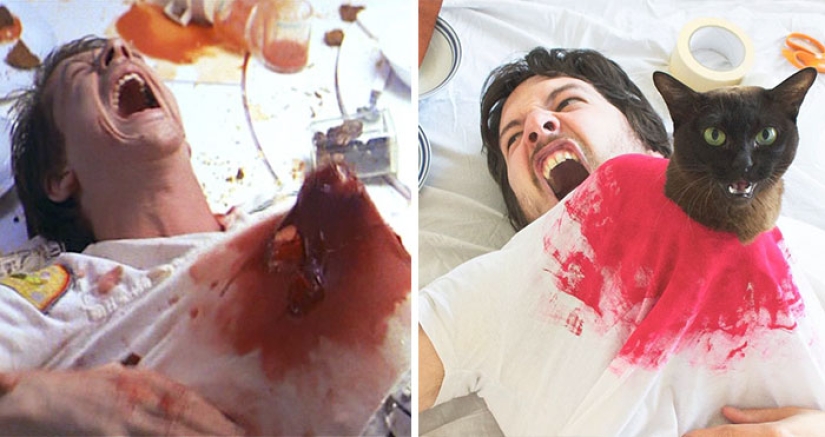 Una joven pareja parodia escenas icónicas de películas junto con gatos