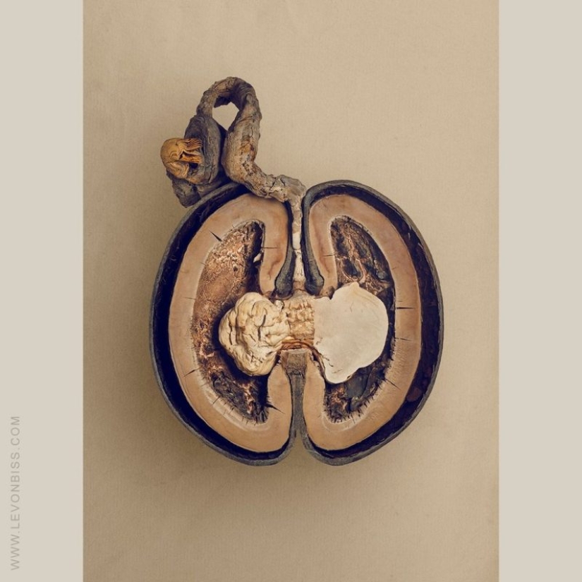 Una mujer estadounidense de 19 años se casó con un hombre de 61 años y dice ser feliz Una mujer estadounidense de 19 años se casó con un hombre de 61 años y dice ser feliz