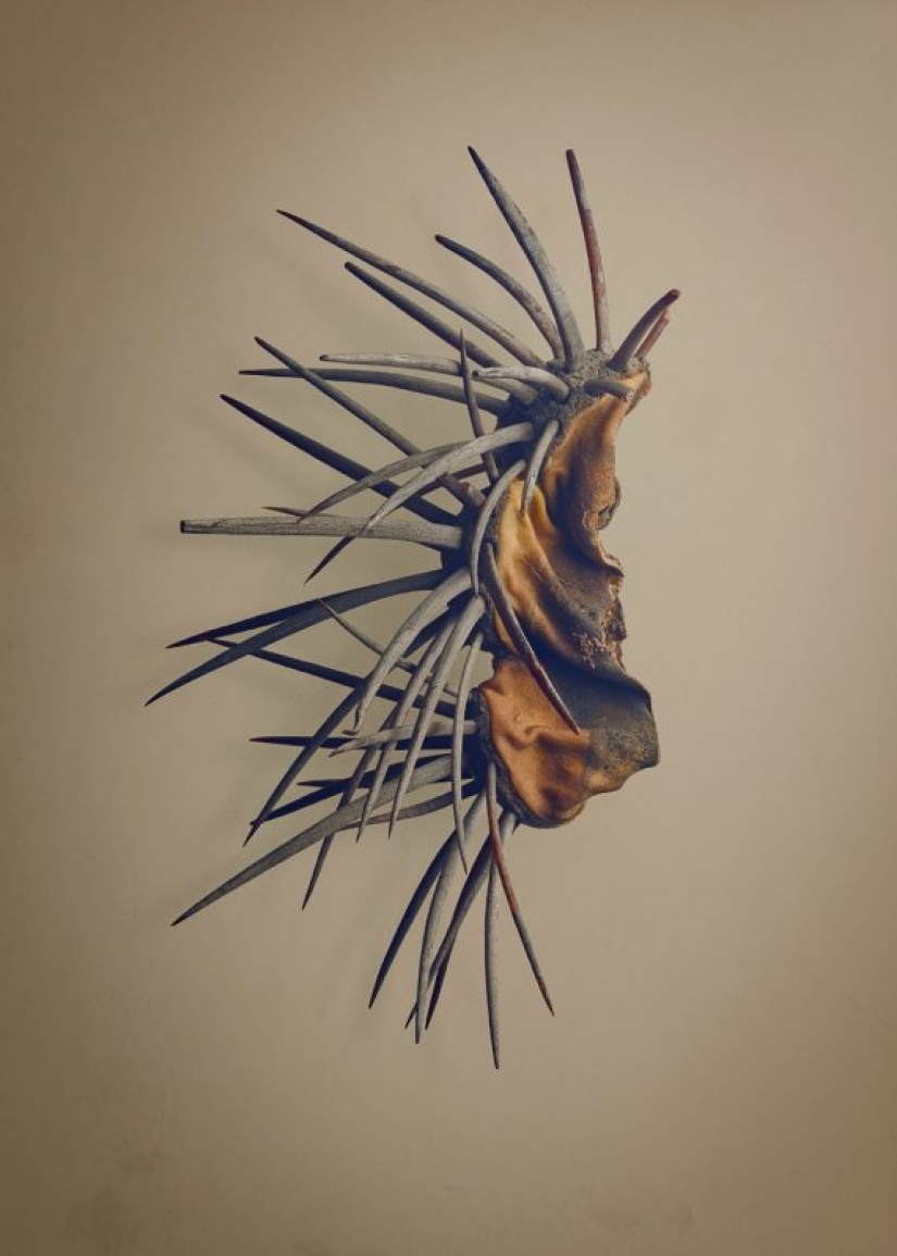 Una mujer estadounidense de 19 años se casó con un hombre de 61 años y dice ser feliz Una mujer estadounidense de 19 años se casó con un hombre de 61 años y dice ser feliz