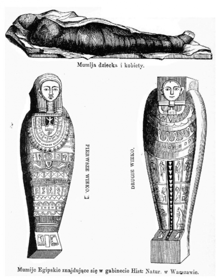 Unique find: Egyptian mummy turned out to be pregnant Unique find: Egyptian mummy turned out to be pregnant