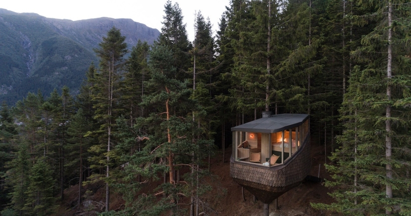 Unique tree houses Woodnest soar in Norwegian woods