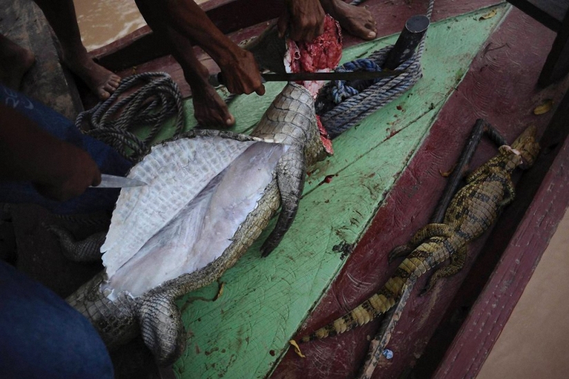 Unknown tribes: first contact with civilization Unknown tribes: first contact with civilization