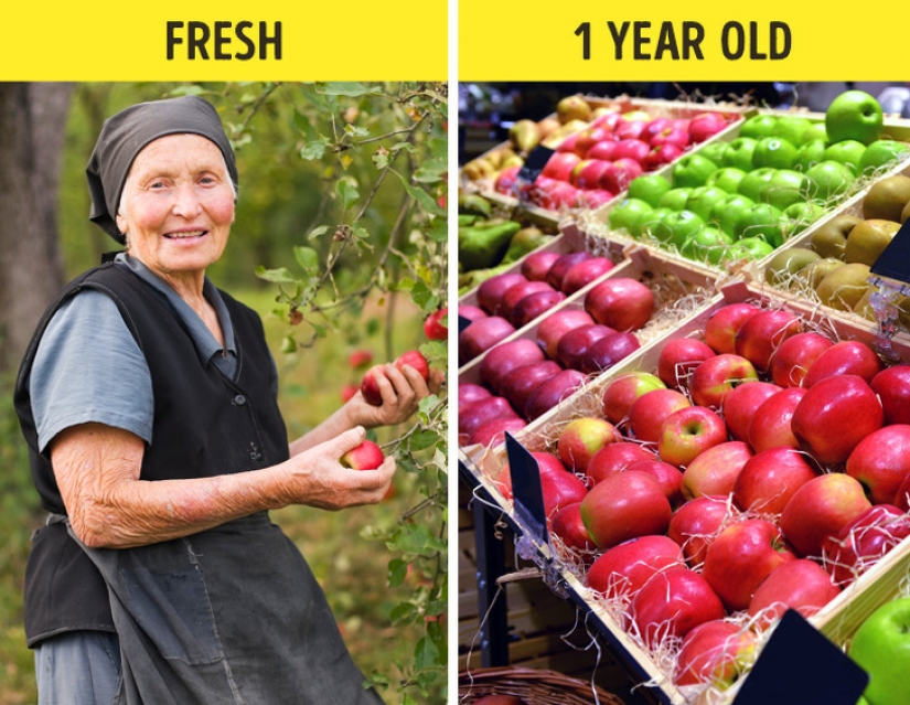 Unusual facts about the world that you probably won't find in an encyclopedia Unusual facts about the world that you probably won't find in an encyclopedia