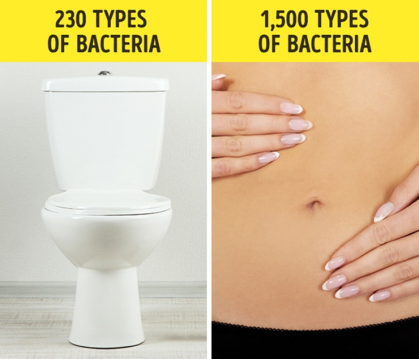 Unusual facts about the world that you probably won't find in an encyclopedia Unusual facts about the world that you probably won't find in an encyclopedia