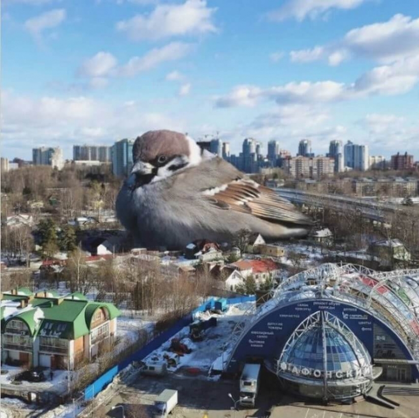 Vadim Solovyov and his monsters in St. Petersburg