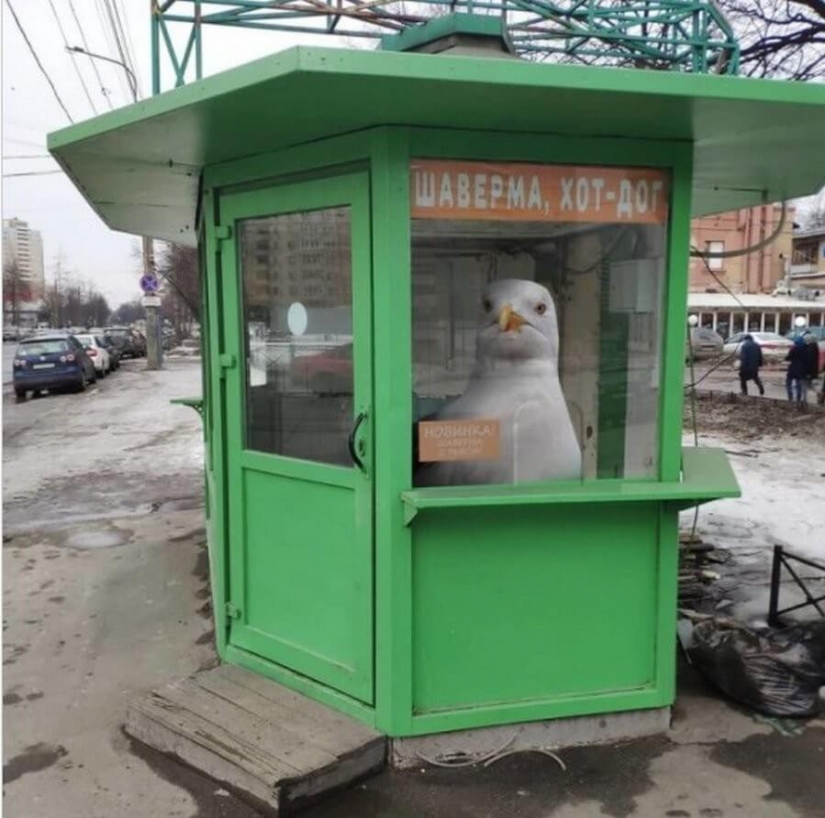 Vadim Solovyov and his monsters in St. Petersburg