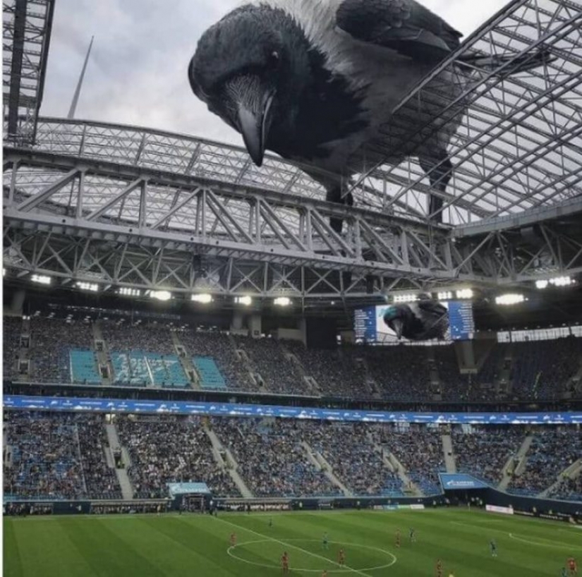 Vadim Solovyov and his monsters in St. Petersburg