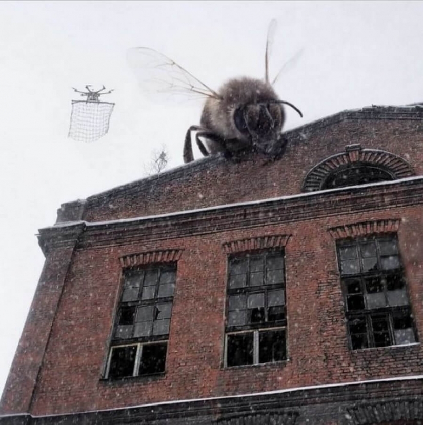 Vadim Solovyov and his monsters in St. Petersburg