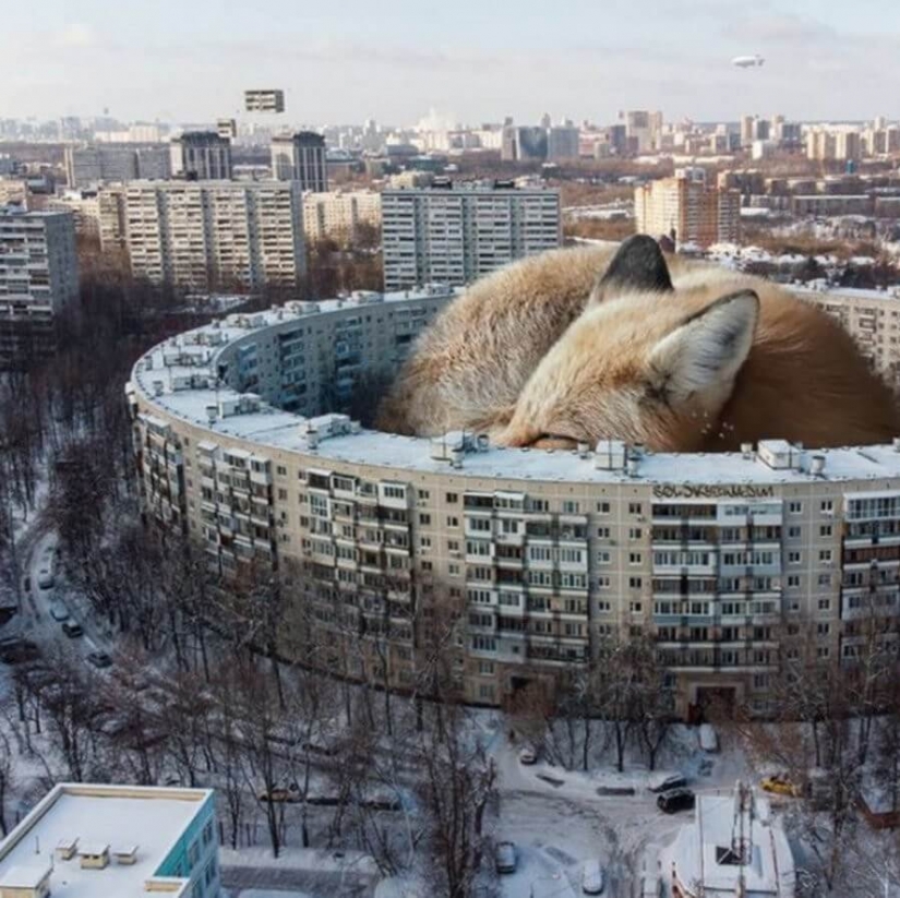 Vadim Solovyov y sus monstruos en San Petersburgo Vadim Solovyov y sus monstruos en San Petersburgo