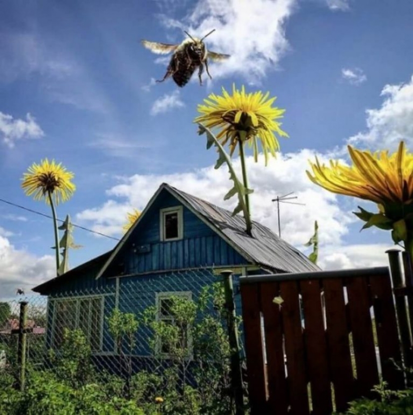 Vadim Solovyov y sus monstruos en San Petersburgo Vadim Solovyov y sus monstruos en San Petersburgo