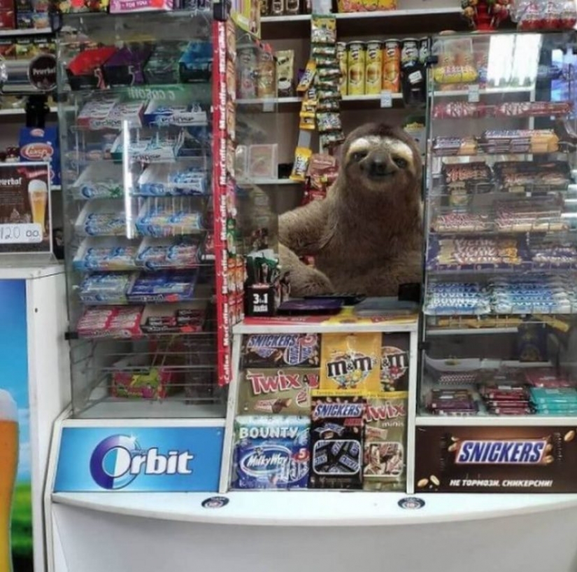 Vadim Solovyov y sus monstruos en San Petersburgo Vadim Solovyov y sus monstruos en San Petersburgo