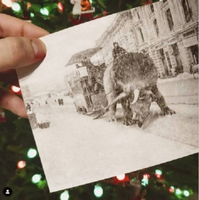 Vadim Solovyov y sus monstruos en San Petersburgo Vadim Solovyov y sus monstruos en San Petersburgo