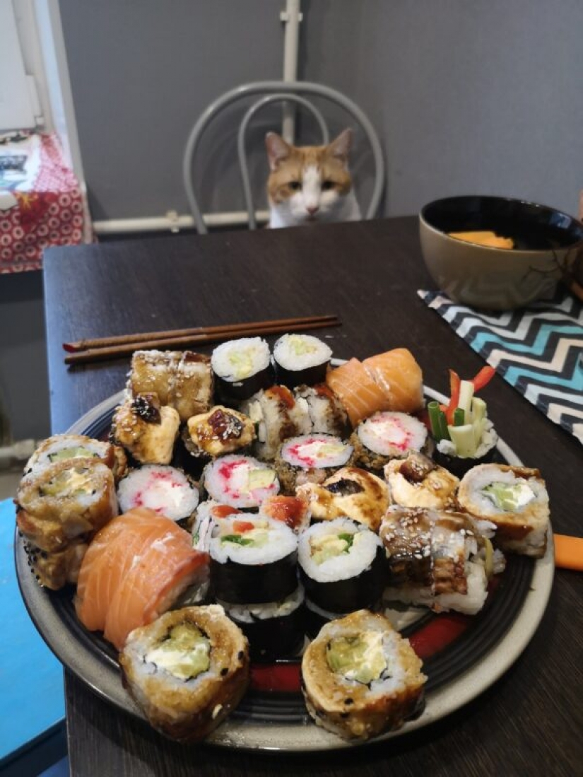 "Venderás pescado" : la historia del meme más dulce de este verano