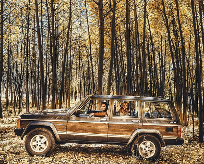 Viajando con el perro