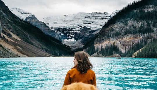 Viajando con el perro