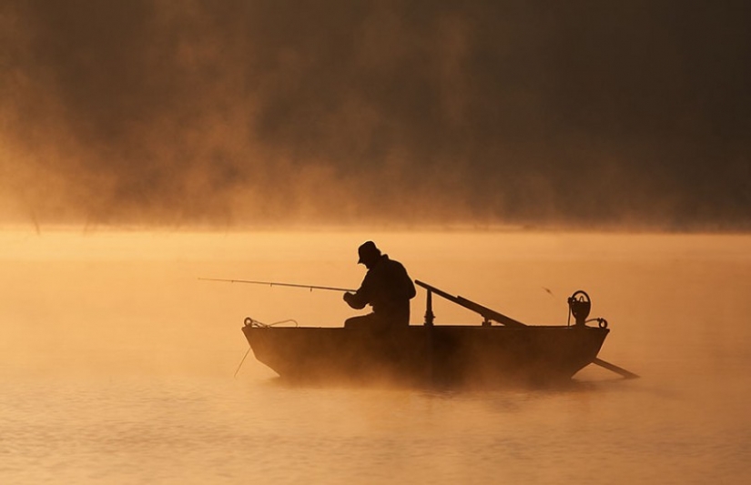Vida de niebla en el lago Vida de niebla en el lago