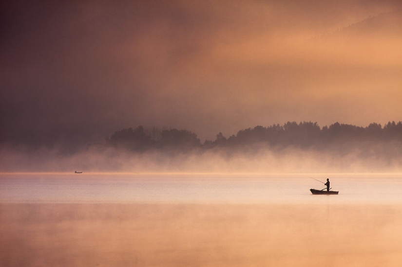 Vida de niebla en el lago Vida de niebla en el lago