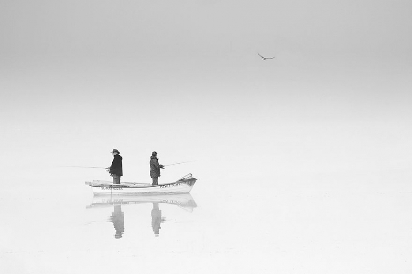 Vida de niebla en el lago Vida de niebla en el lago
