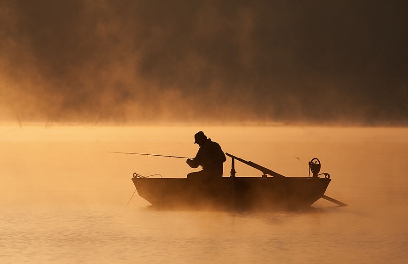 Vida de niebla en el lago Vida de niebla en el lago