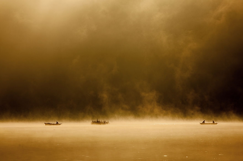 Vida de niebla en el lago Vida de niebla en el lago