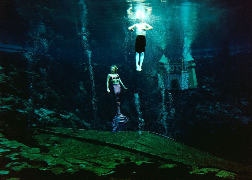 Vida salvaje detrás de un cristal