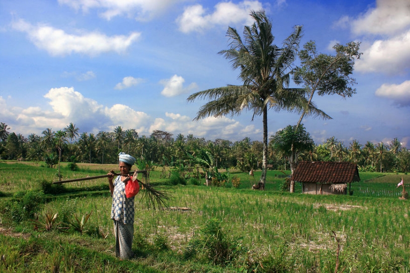 Viva diversidad de nacionalidades en los retratos de Pascal Mannarts Viva diversidad de nacionalidades en los retratos de Pascal Mannarts