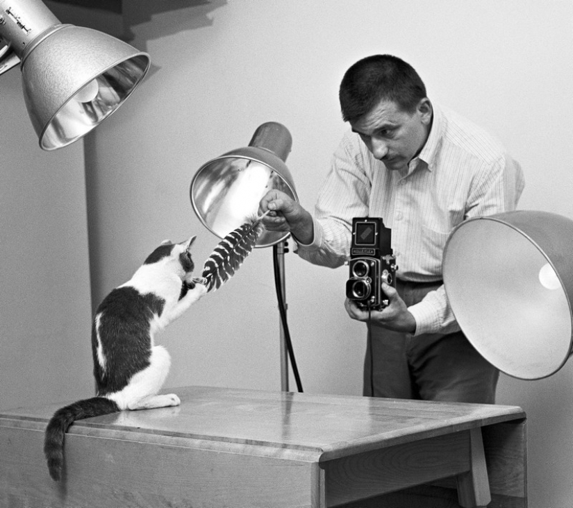 Walter Chandoga – el hombre que 70 años fotografiando los gatos