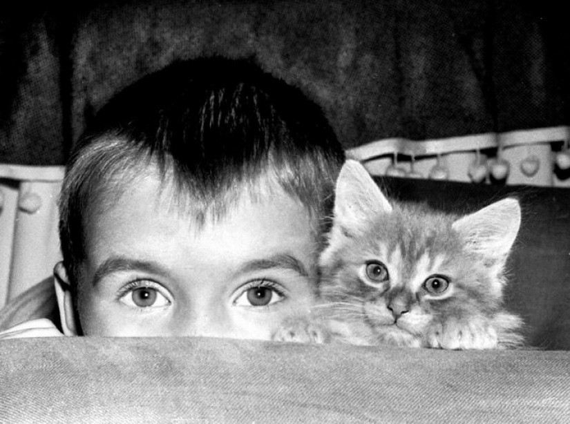 Walter Chandoga – the man who 70 years photographing cats