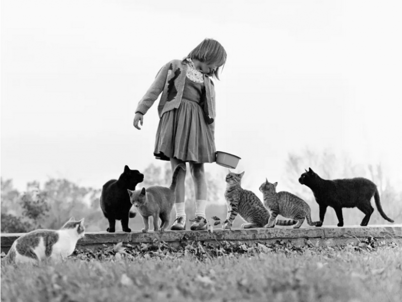 Walter Chandoga – the man who 70 years photographing cats