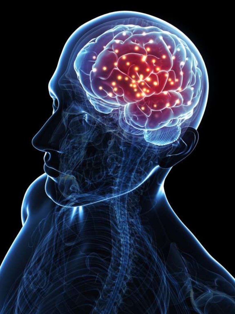 We dispel the most popular myths