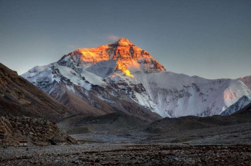 We dispel the most popular myths