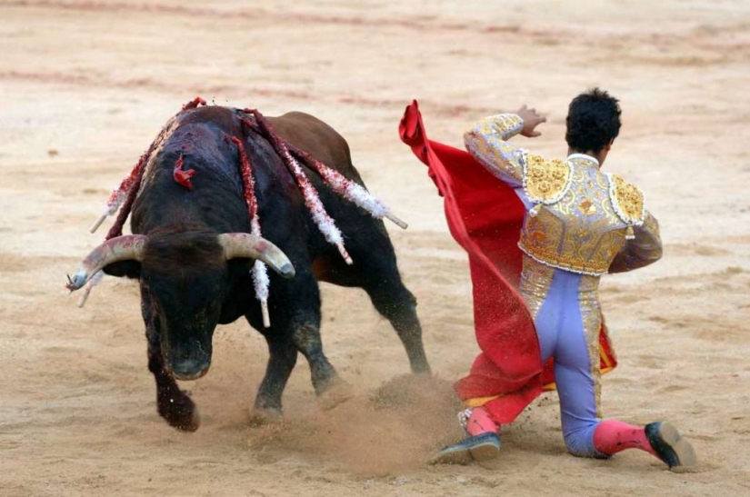 We dispel the most popular myths