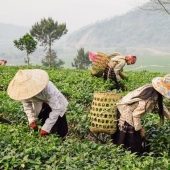 We travel to Vietnam for 30 photos together with Ukrainian Dmitry Gilitukha