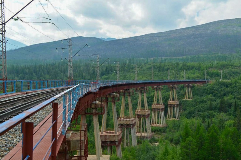 What can you see from the window of the train on the Trans-Siberian highway What can you see from the window of the train on the Trans-Siberian highway