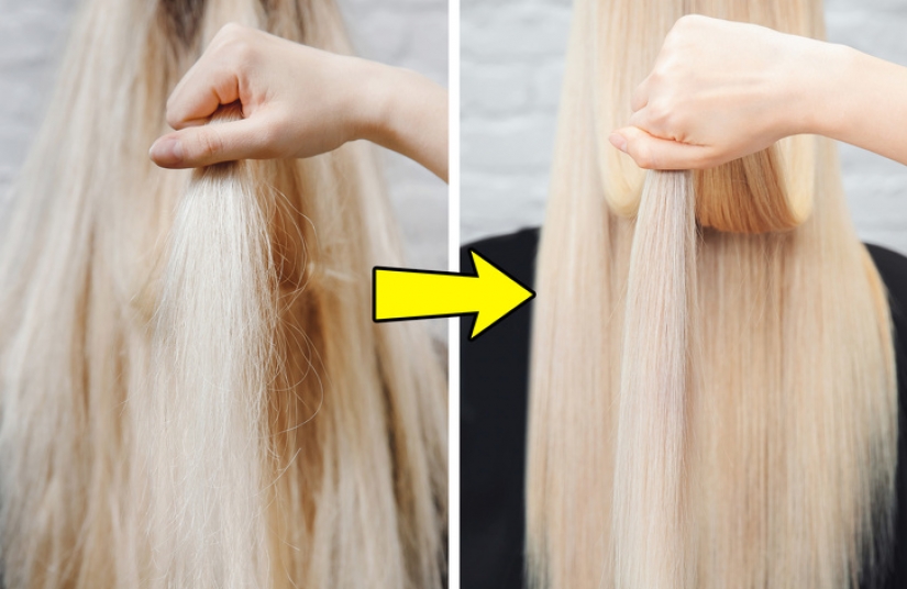 What Happens to Your Body If You Eat 4 Cashews Every Day