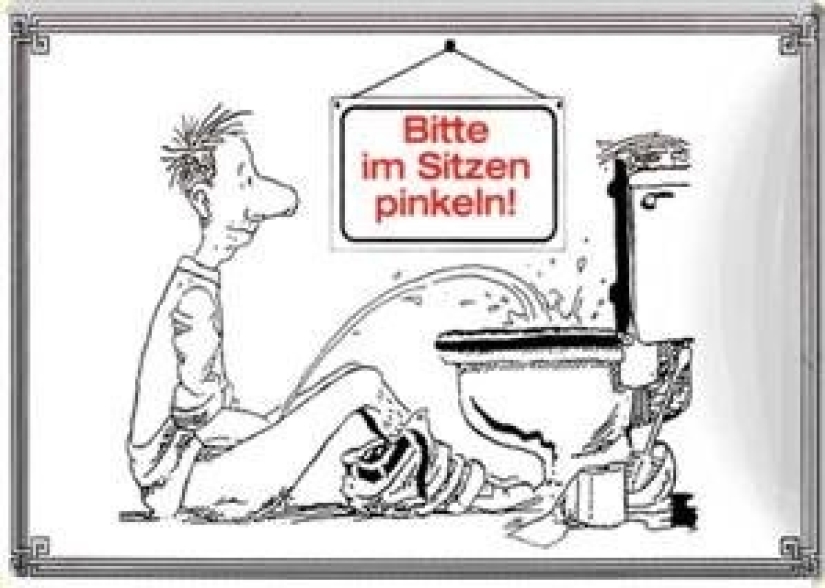 What happens when the toilet in the house is designed by the wife