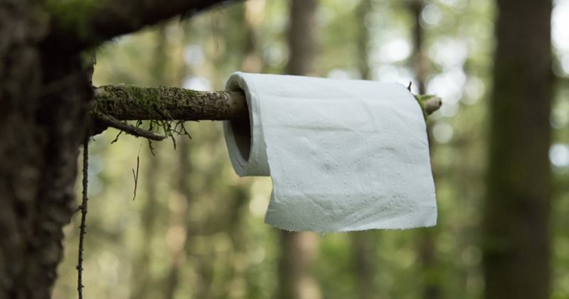 What is "papierzaki", or Why did they hang "toilet" instructions in the Polish forests