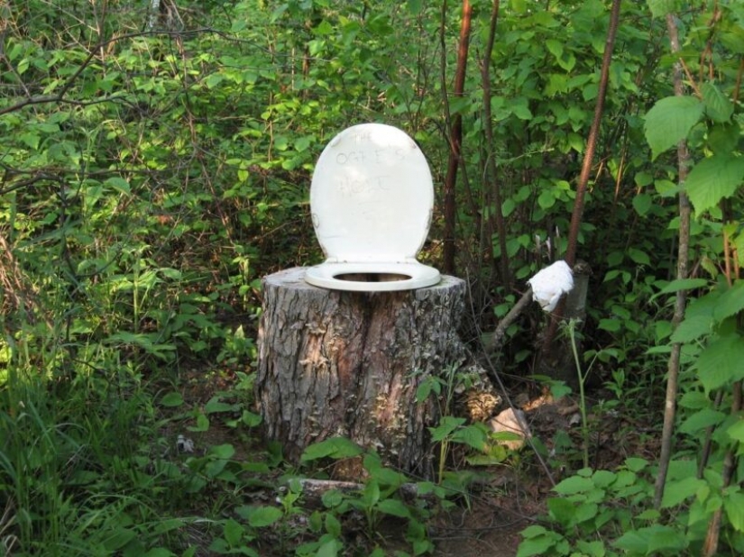 What is "papierzaki", or Why did they hang "toilet" instructions in the Polish forests